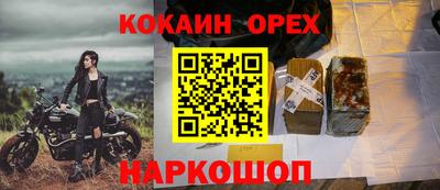 шишки Кимры