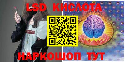 гашик Кинель