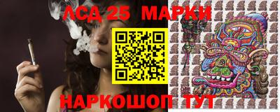 шишки Кимры