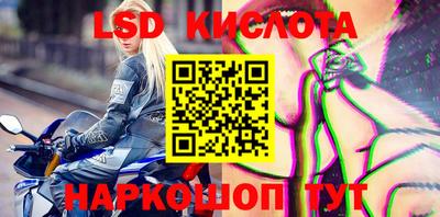 дурь Кингисепп