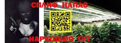 гашик Кинель