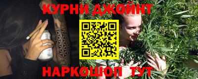 дурь Кингисепп