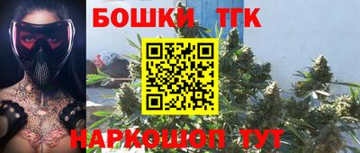 дурь Кингисепп