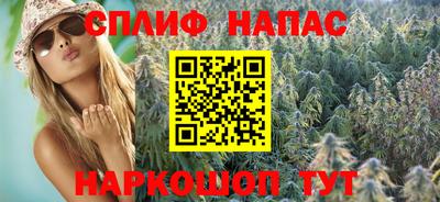 дурь Кингисепп