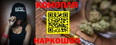 шишки Кимры