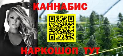 шишки Кимры