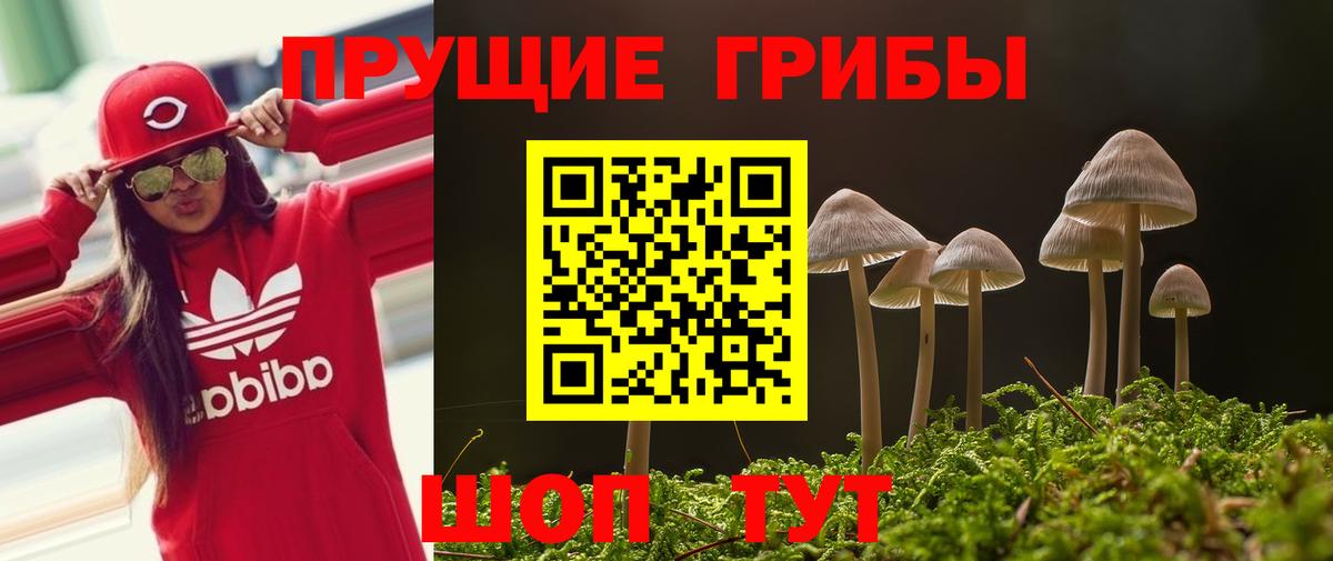 Псилоцибиновые грибы Psilocybe  Вход с VPN  Ипатово 